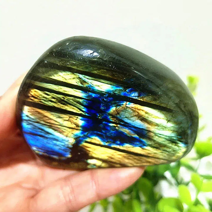 Labradorite Crystal Freeform