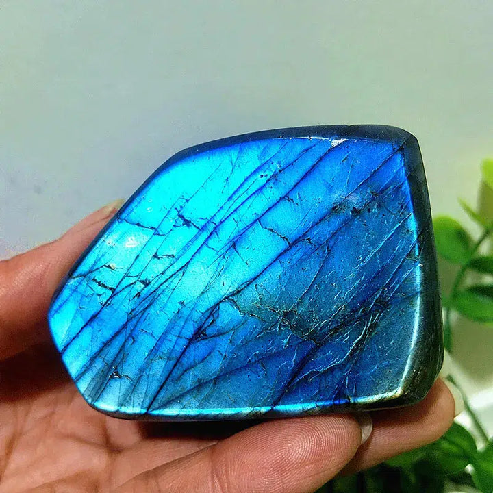 Labradorite Crystal Freeform