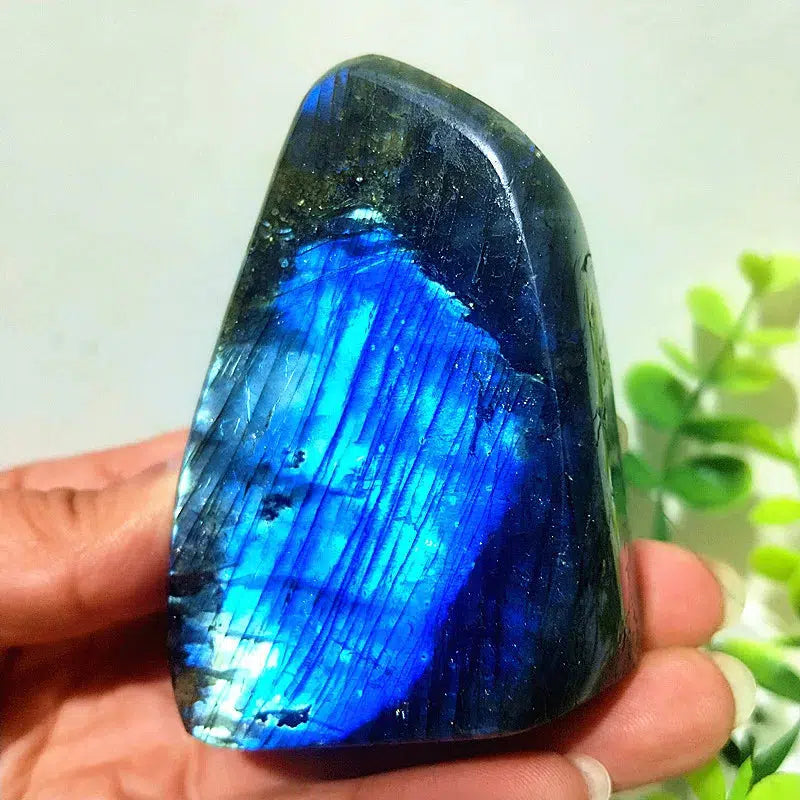 Labradorite Crystal Freeform