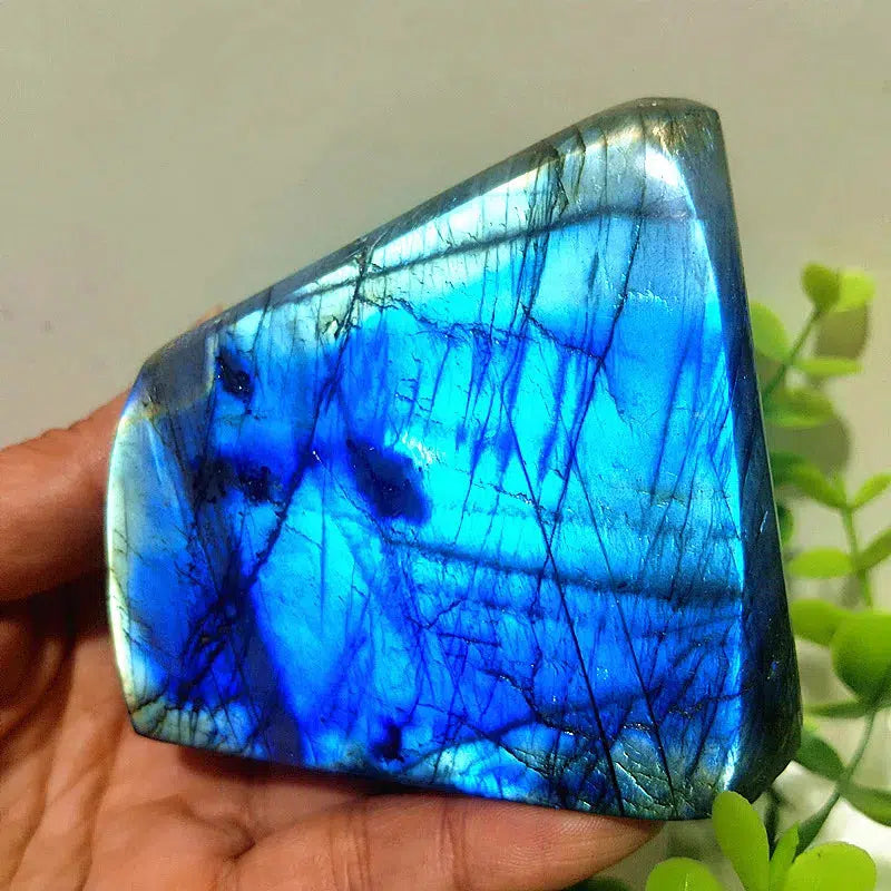 Labradorite Crystal Freeform