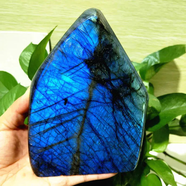 Labradorite Crystal Freeform