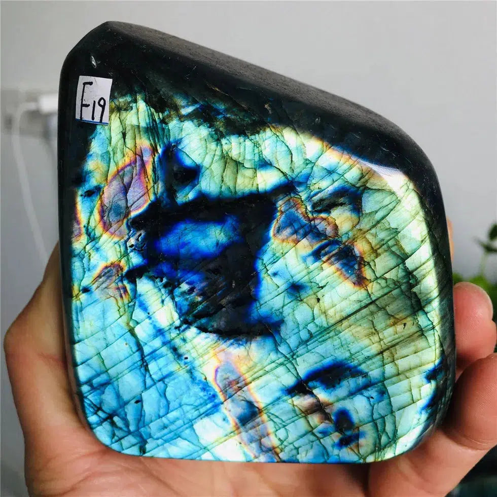 Labradorite Freeform Crystal