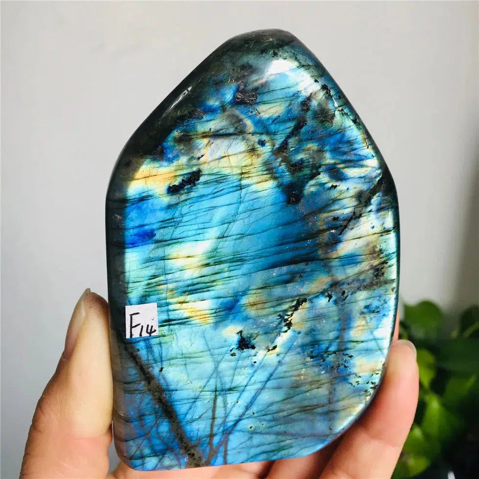 Labradorite Freeform Crystal