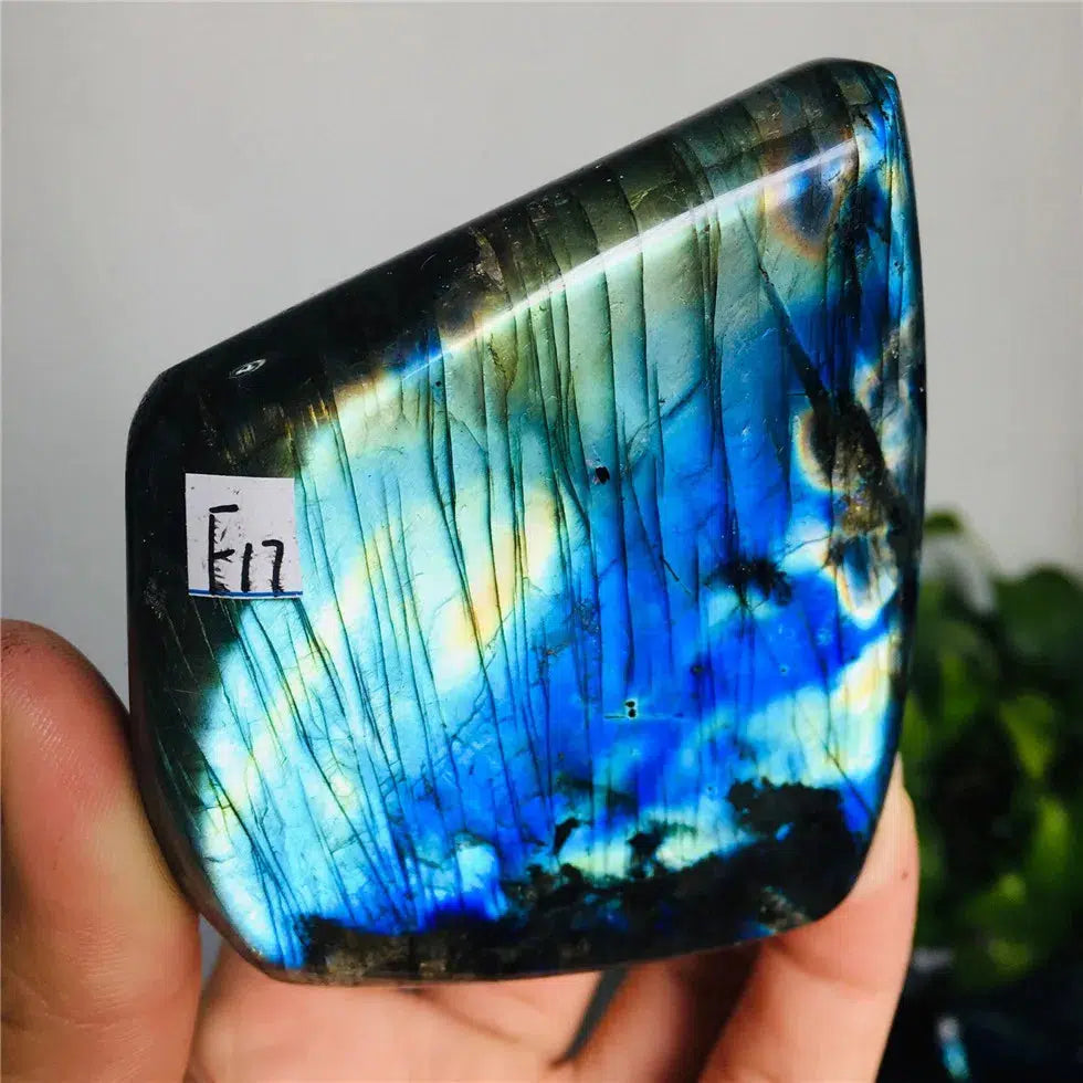 Labradorite Freeform Crystal