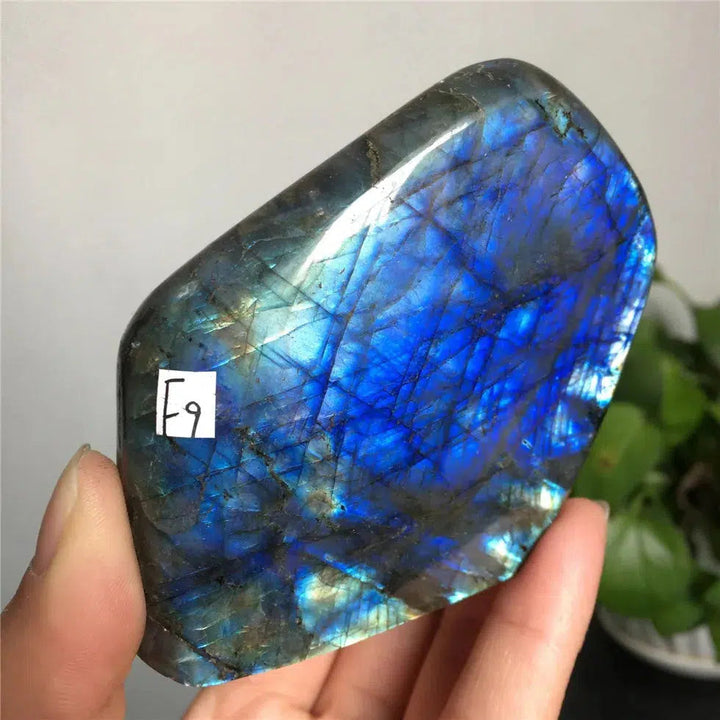 Labradorite Freeform Crystal