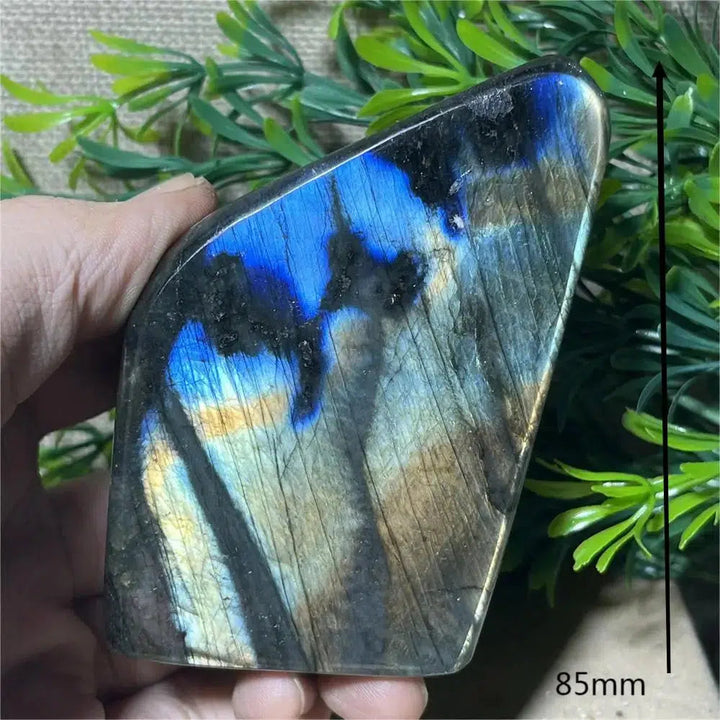 Labradorite Freeform