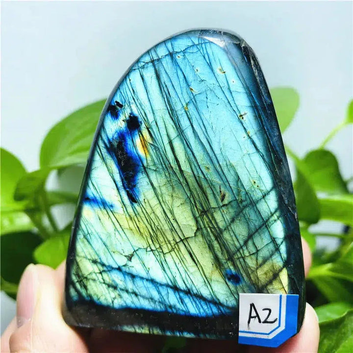 Labradorite Freeform