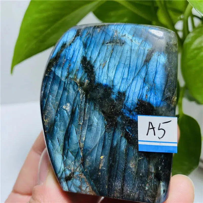 Labradorite Freeform