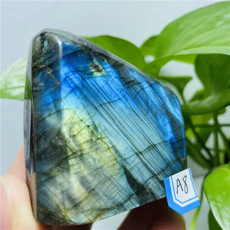 Labradorite Freeform