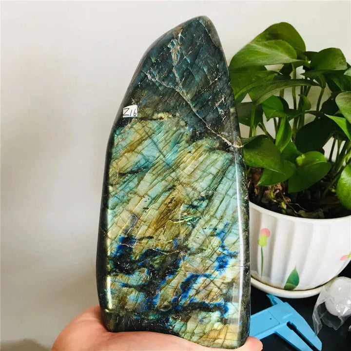 Labradorite Freeform