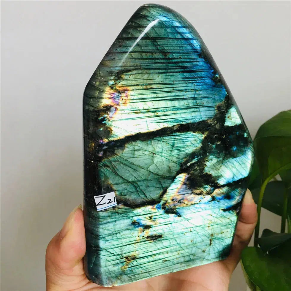 Labradorite Freeform