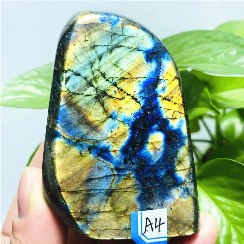 Labradorite Freeform