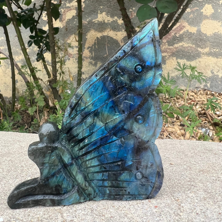 Labradorite Quartz Fairy Butterfly Carving