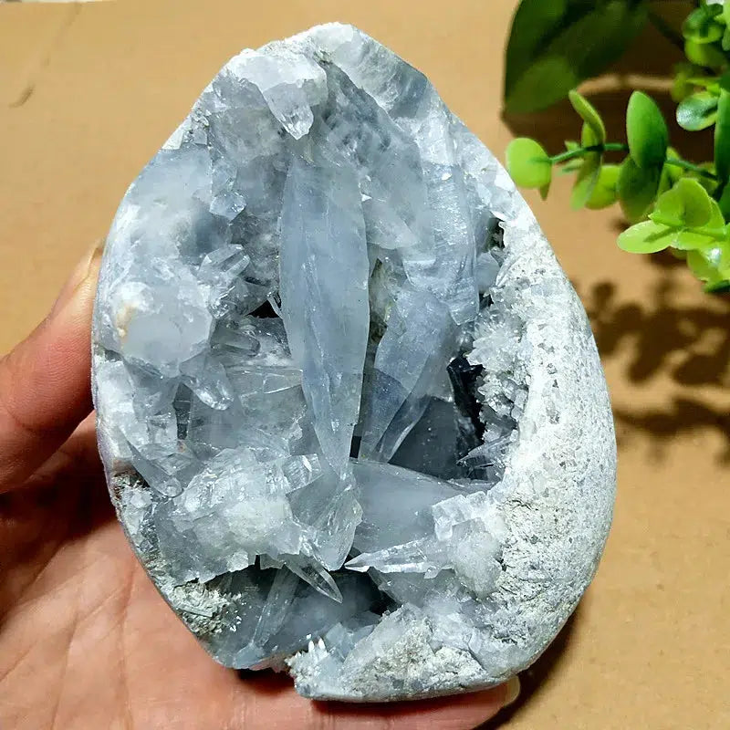 Large Celestite Geode