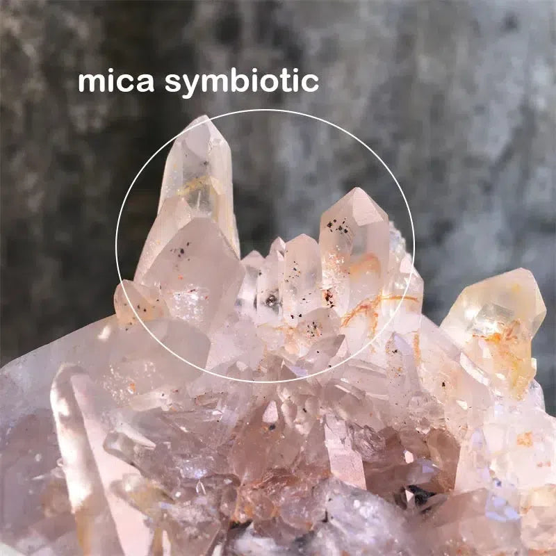 Madagascan Crystal Quartz With Mica Cluster