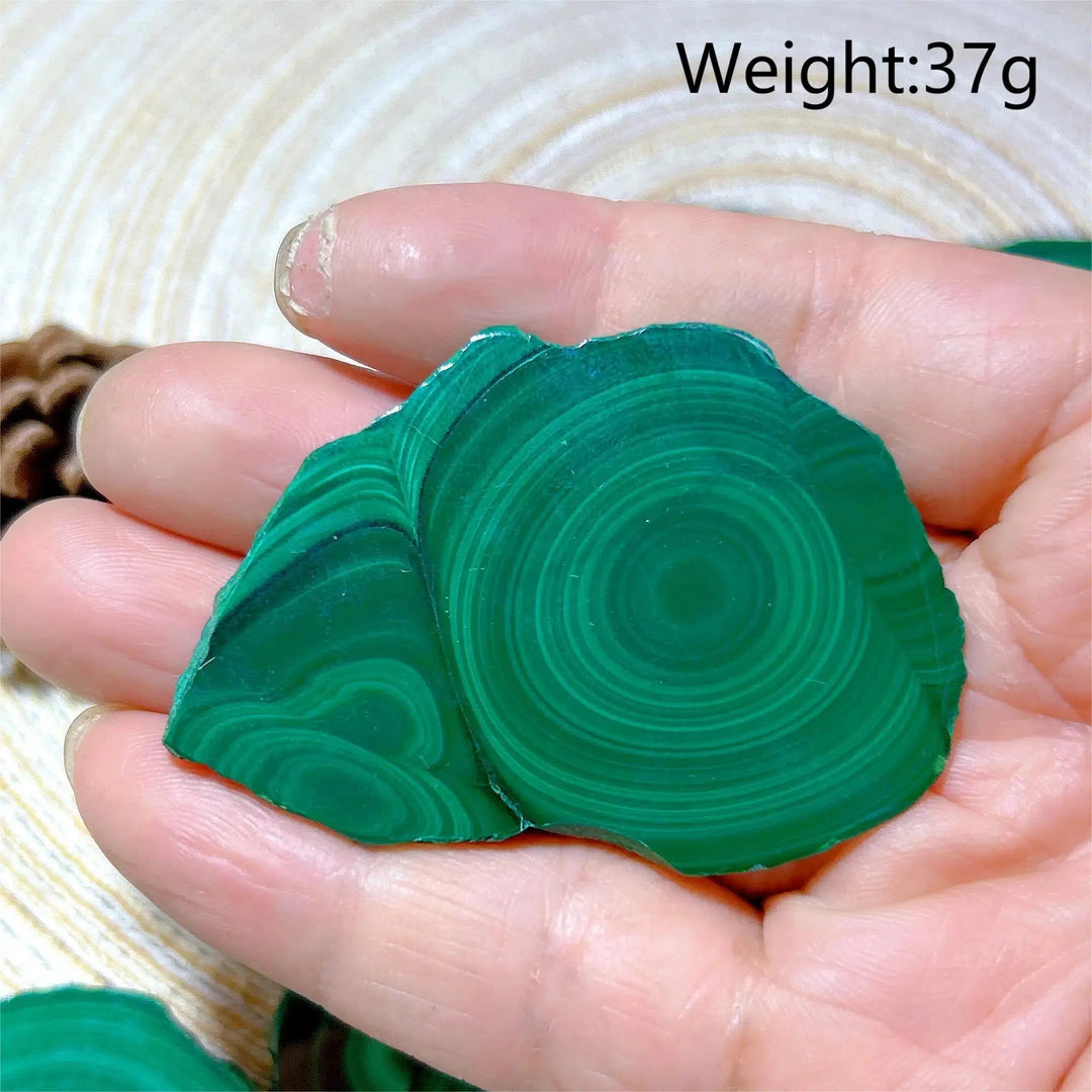 Malachite 'Bulls Eye' Slices