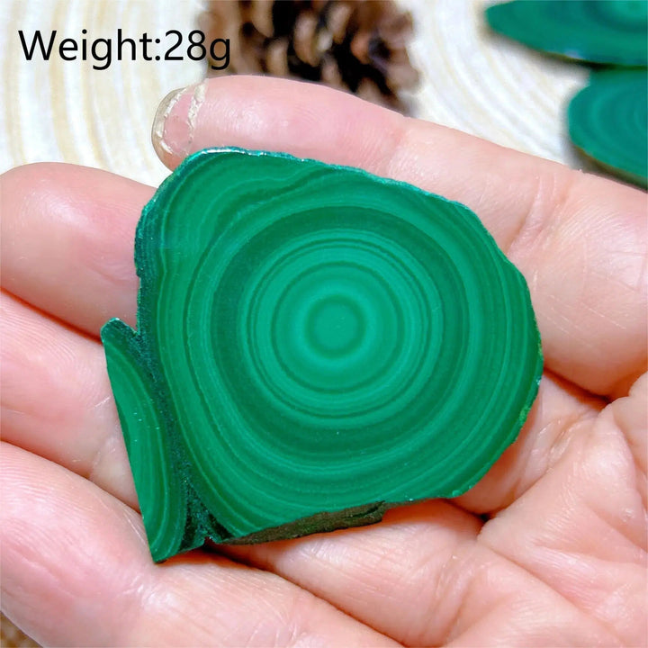 Malachite 'Bulls Eye' Slices