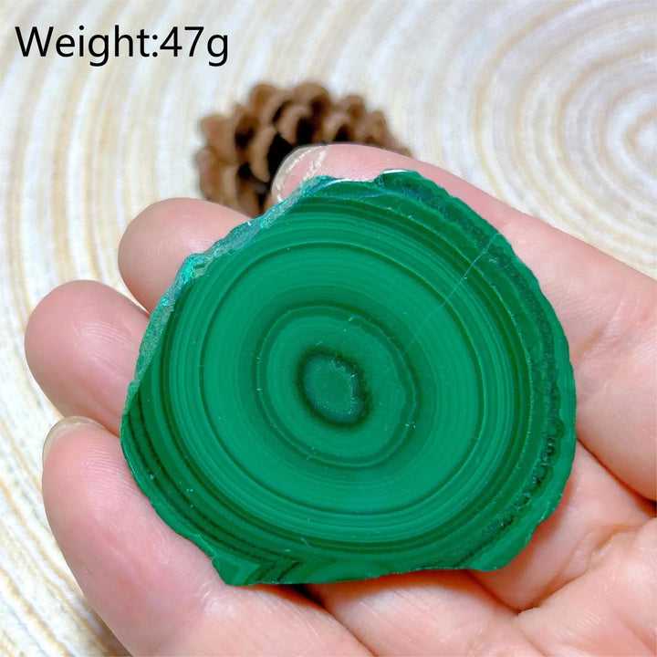 Malachite 'Bulls Eye' Slices