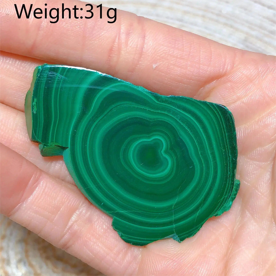 Malachite 'Bulls Eye' Slices