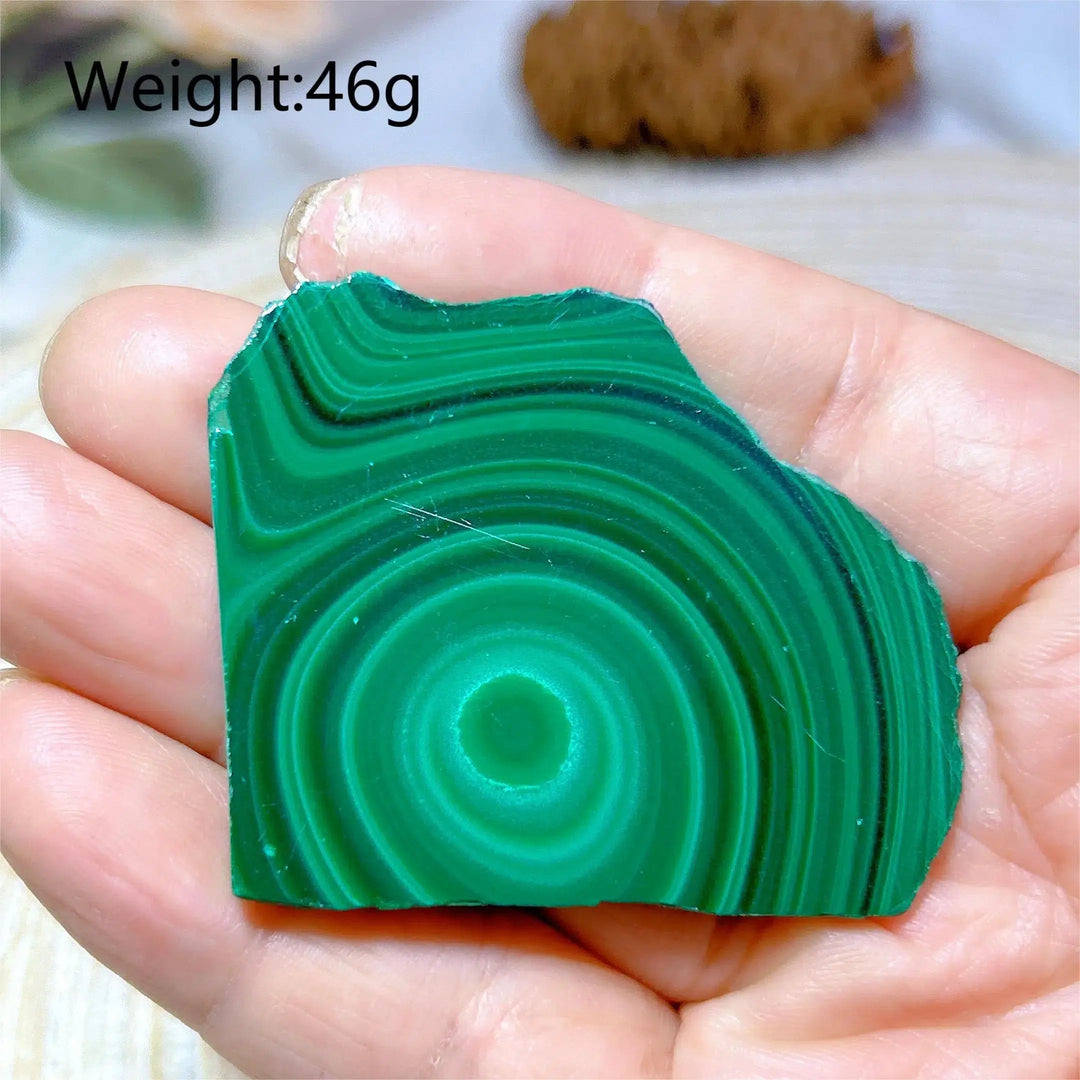 Malachite 'Bulls Eye' Slices