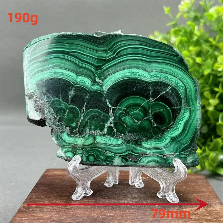 Malachite Crystal Slice