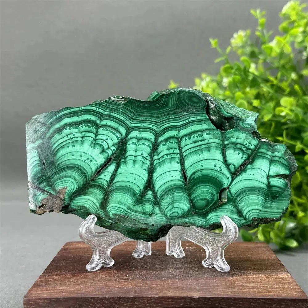 Malachite Crystal Slice