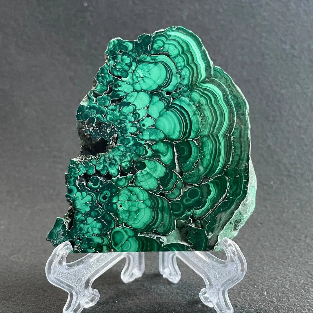 Malachite Polished Slice