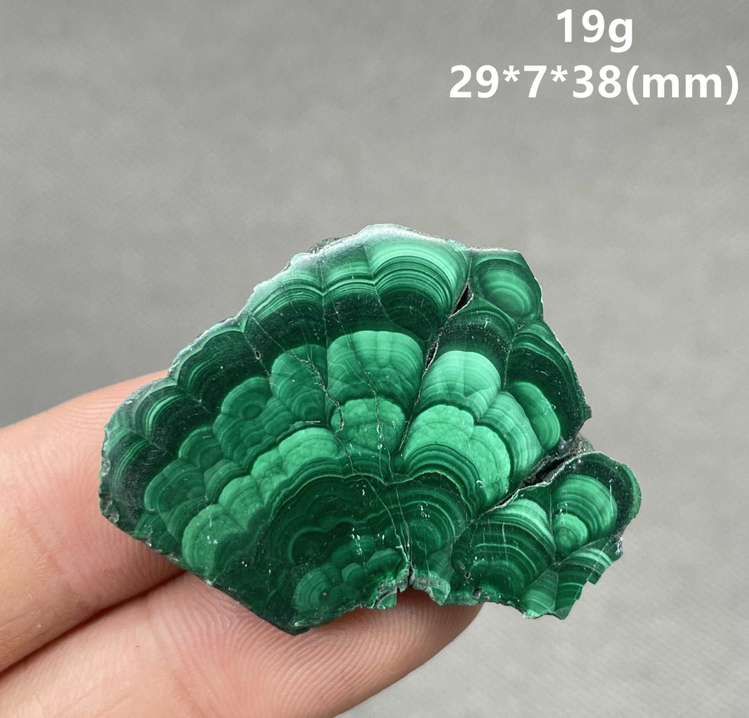 Malachite Polished Slice