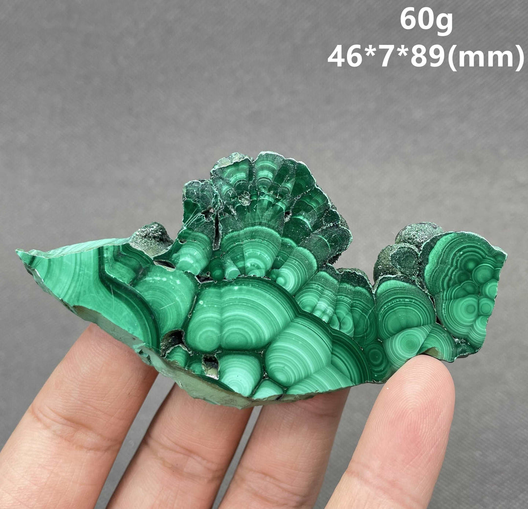 Malachite Polished Slice