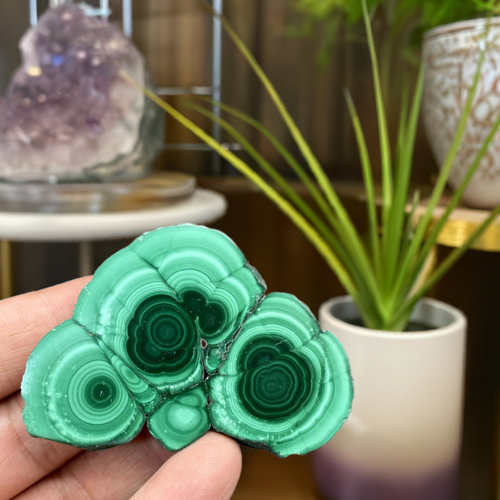 Malachite Polished Slice