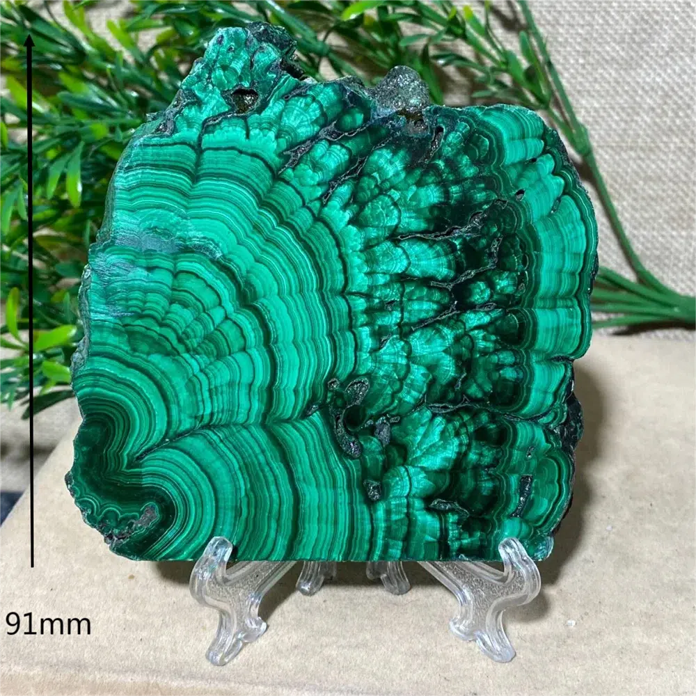 Malachite Slice + Stand