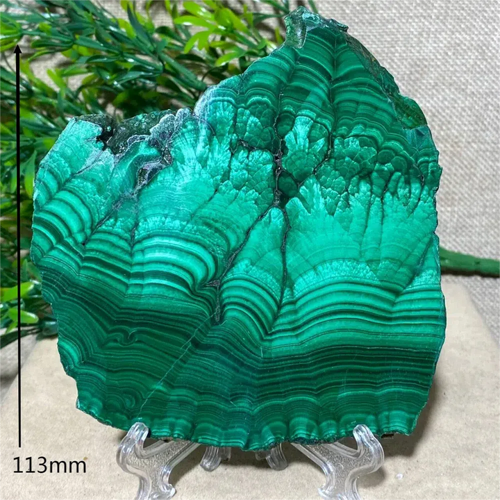 Malachite Slice + Stand