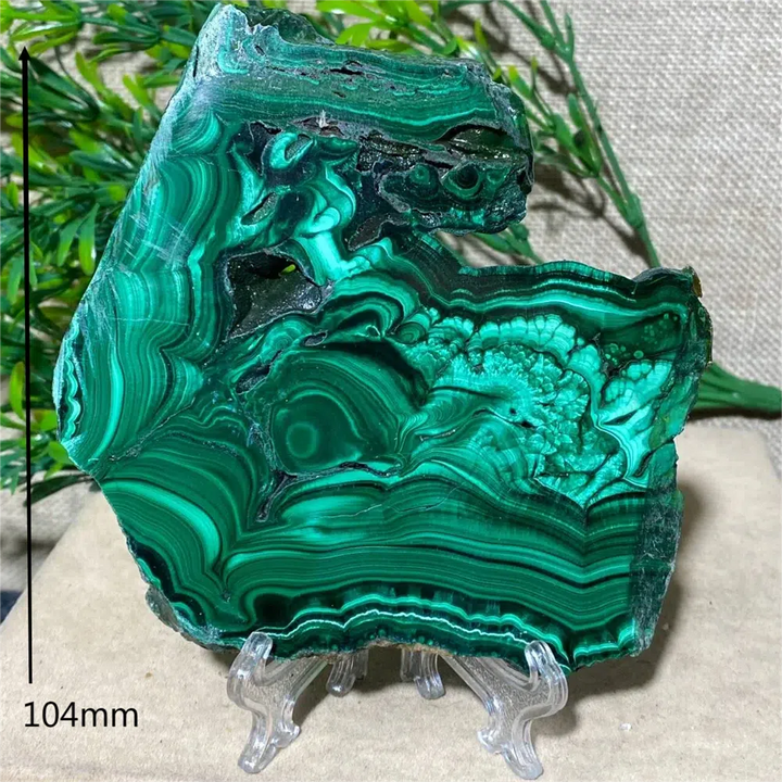 Malachite Slice + Stand