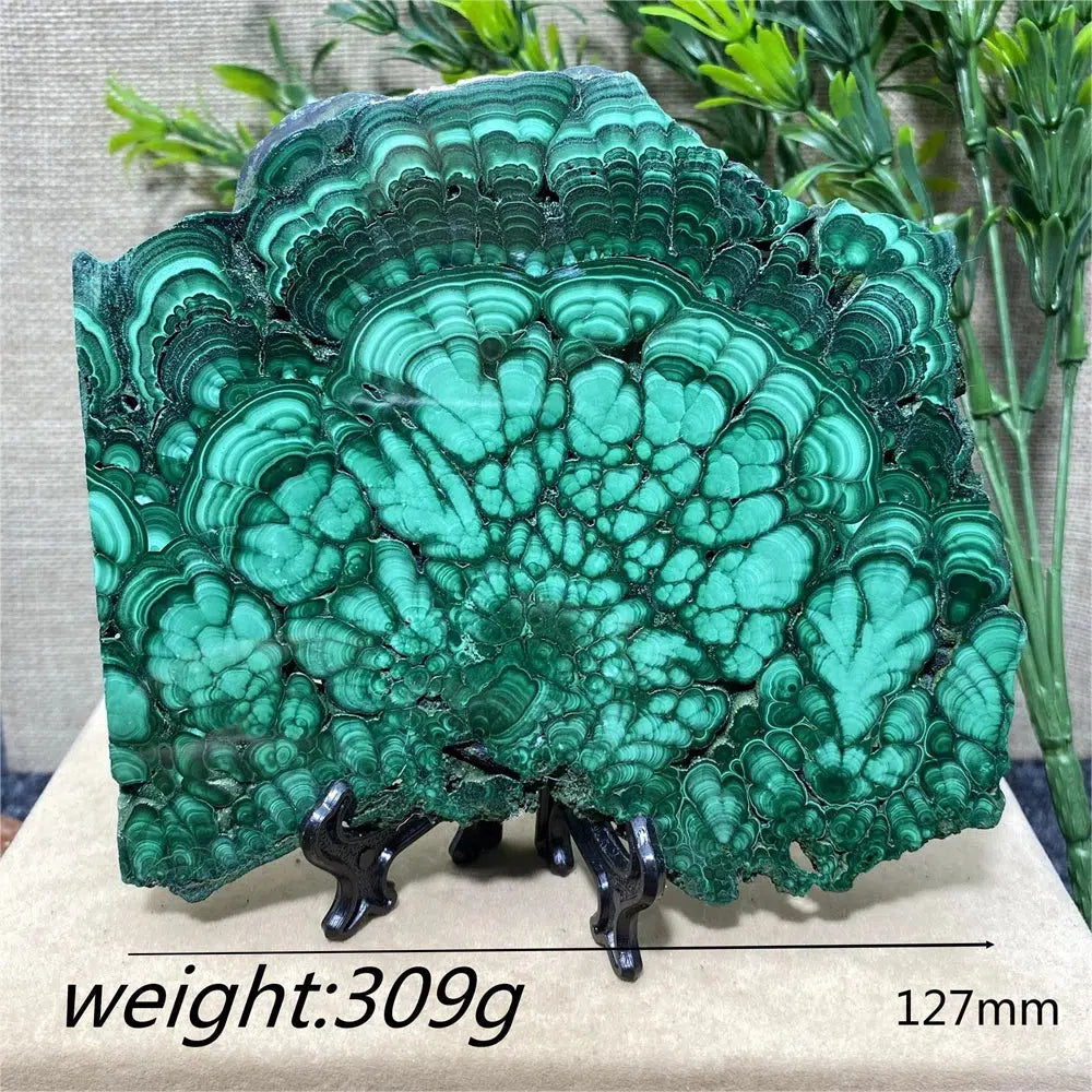 Malachite Slice + Stand