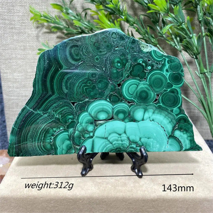 Malachite Slice + Stand