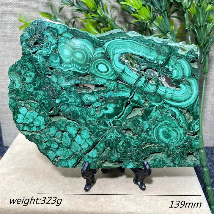 Malachite Slice + Stand