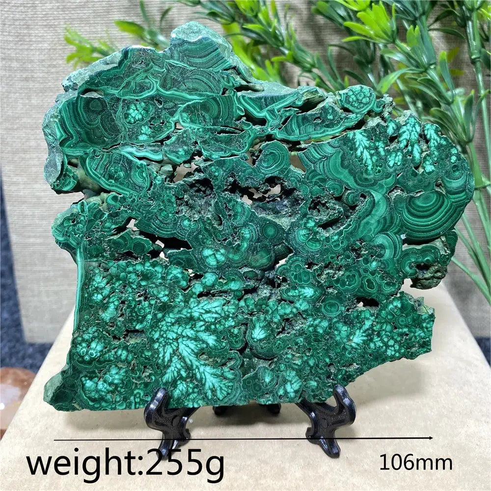 Malachite Slice + Stand