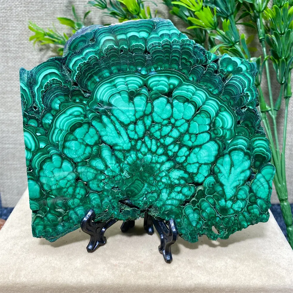 Malachite Slice + Stand