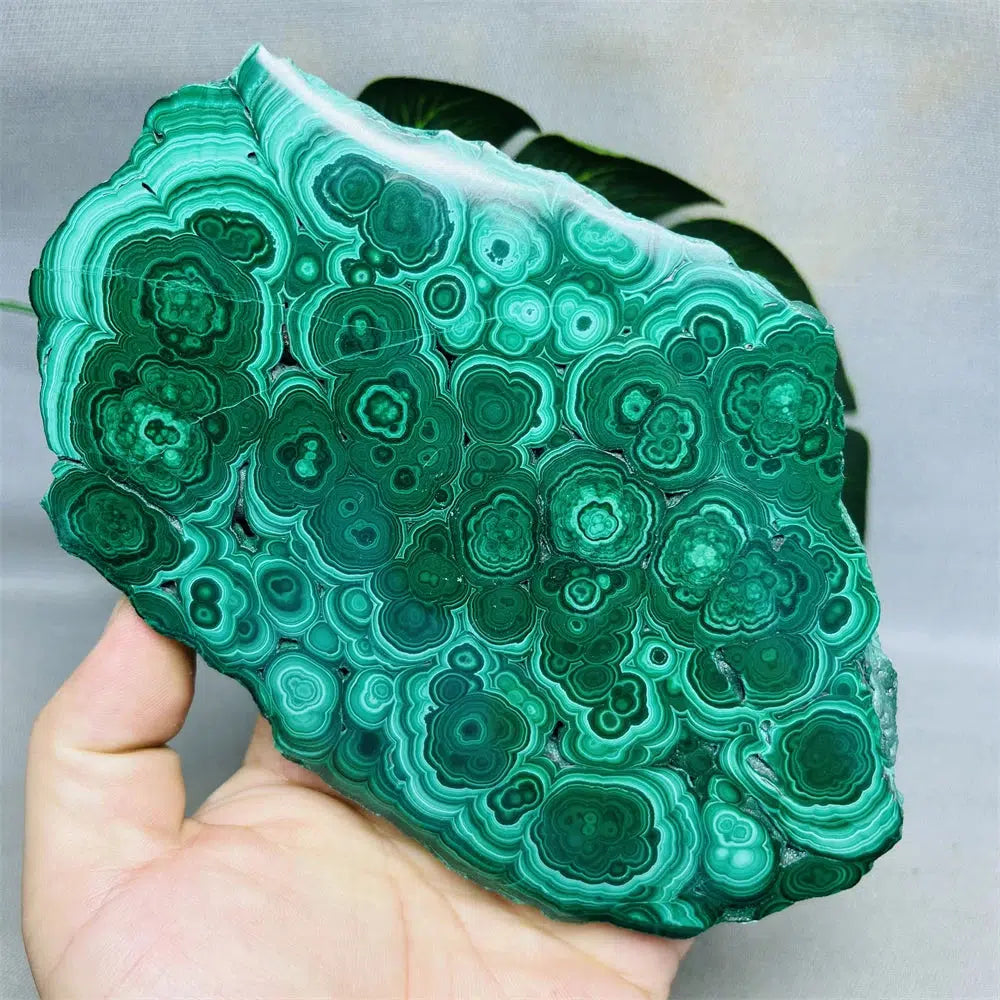 Malachite Twin Slices