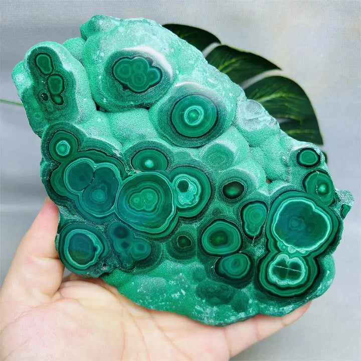 Malachite Twin Slices