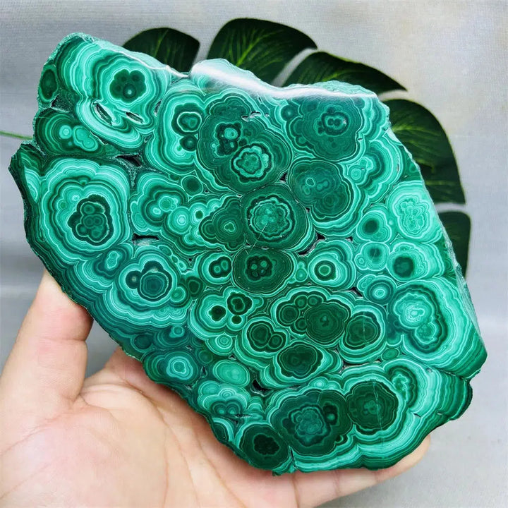 Malachite Twin Slices