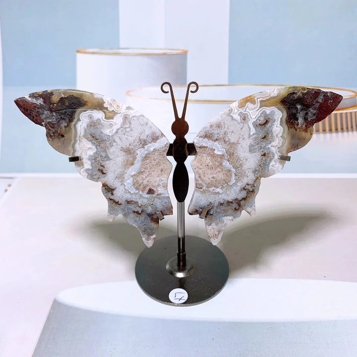 Mexican Agate Butterfly Wings + Stand