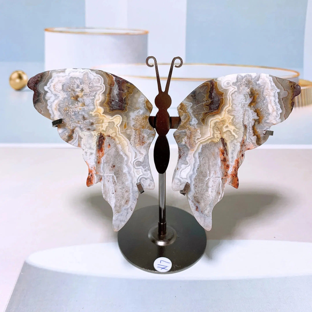 Mexican Agate Butterfly Wings + Stand