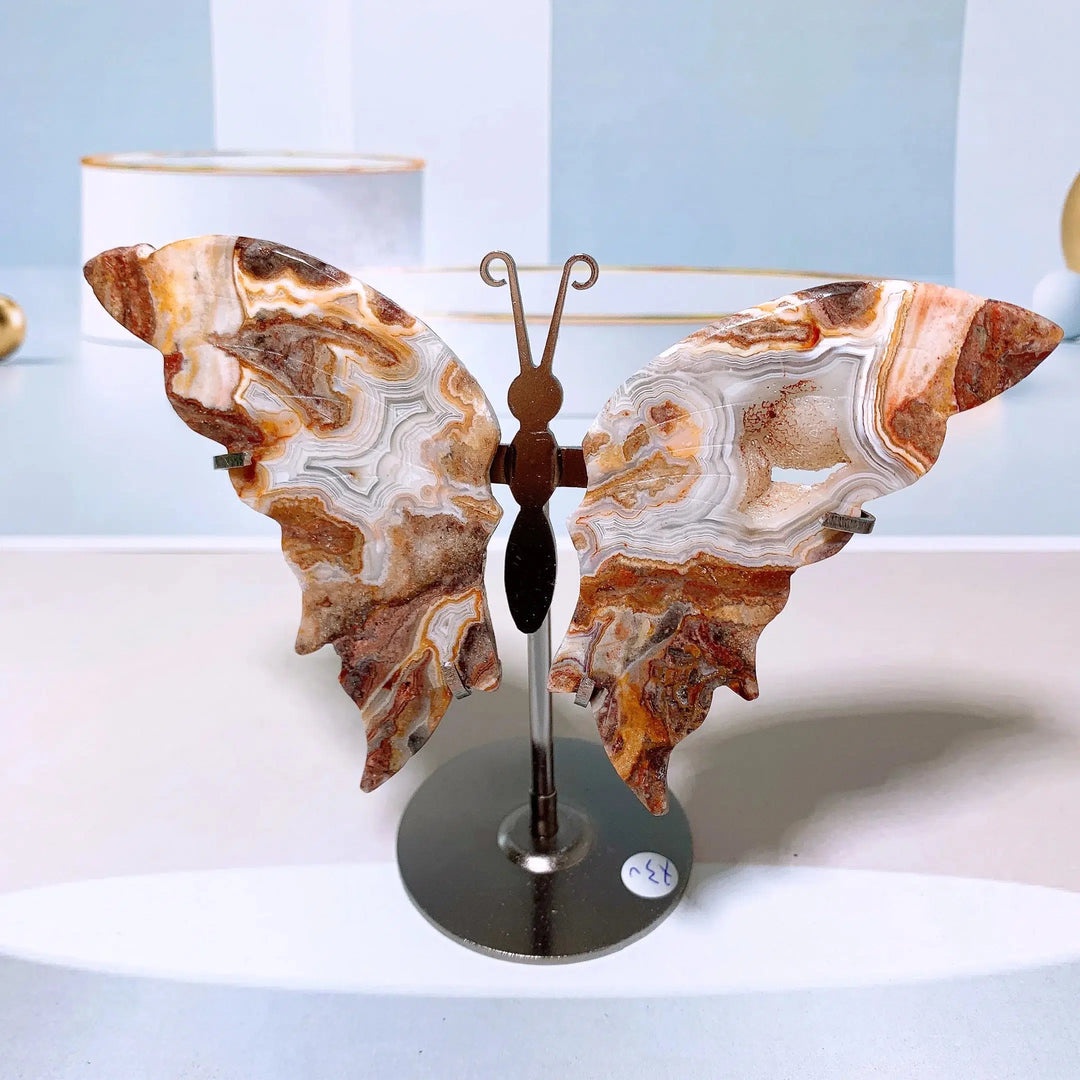 Mexican Agate Butterfly Wings + Stand