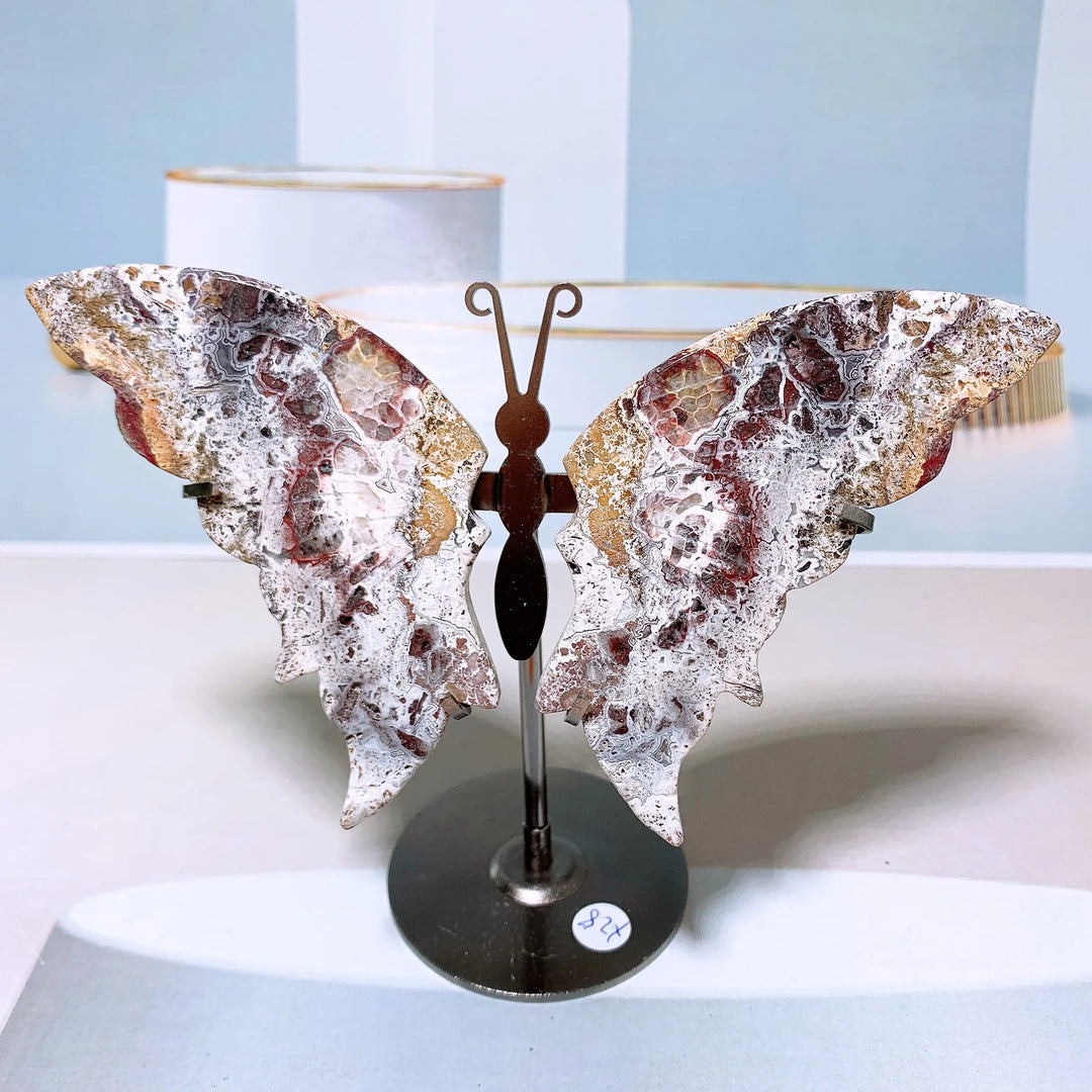 Mexican Agate Butterfly Wings + Stand