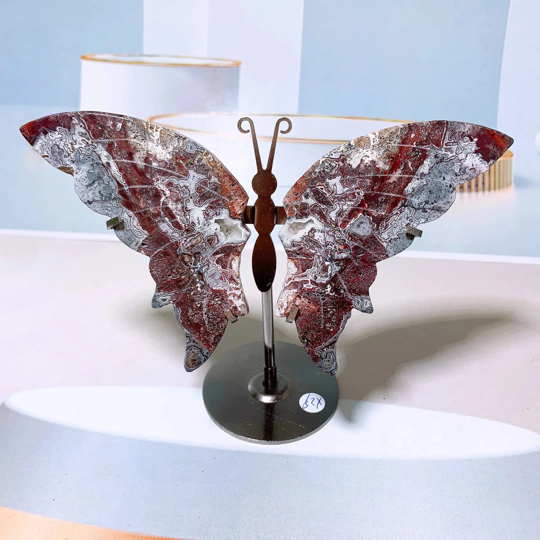 Mexican Agate Butterfly Wings + Stand