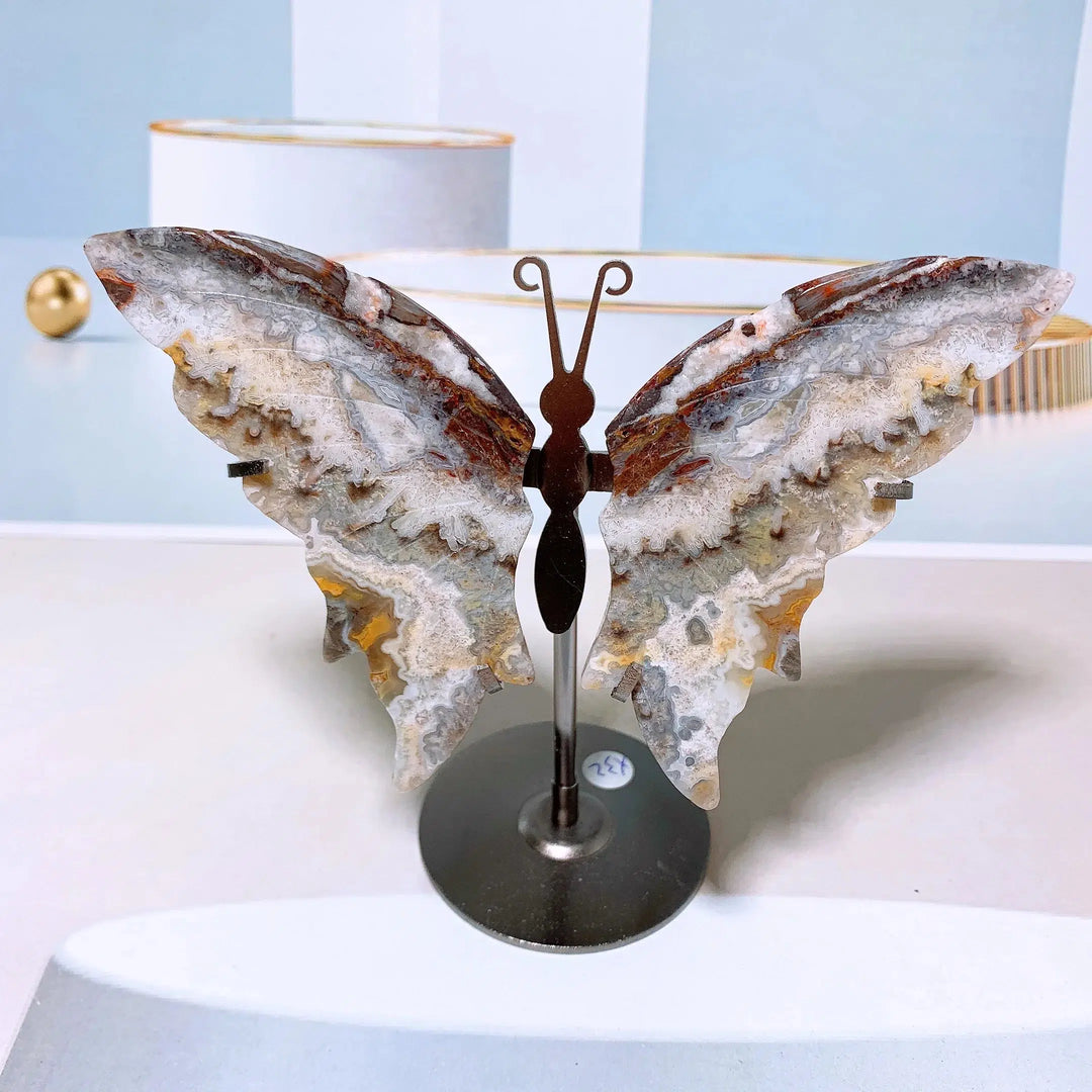 Mexican Agate Butterfly Wings + Stand