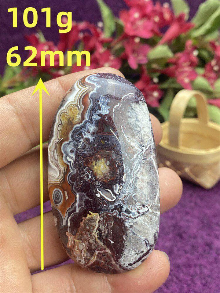 Mexican Agate Palm Stone