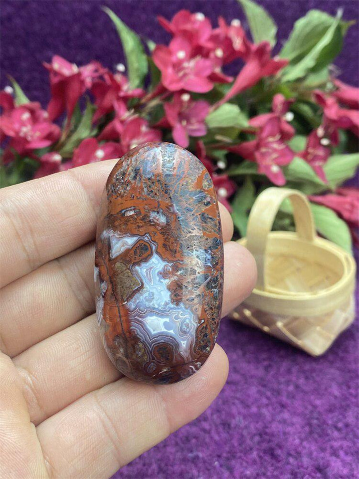 Mexican Agate Palm Stone