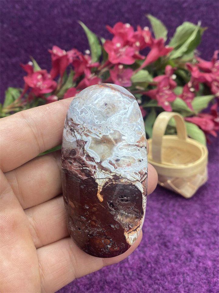 Mexican Agate Palm Stone